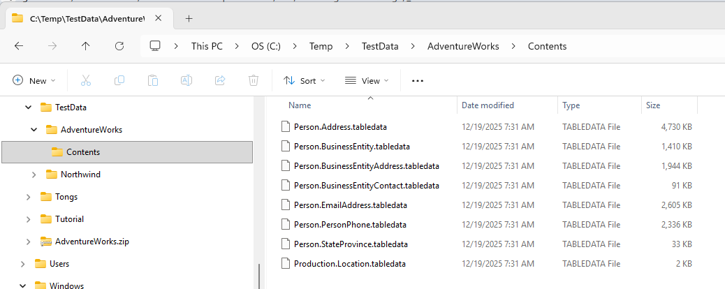 first cast file system layout